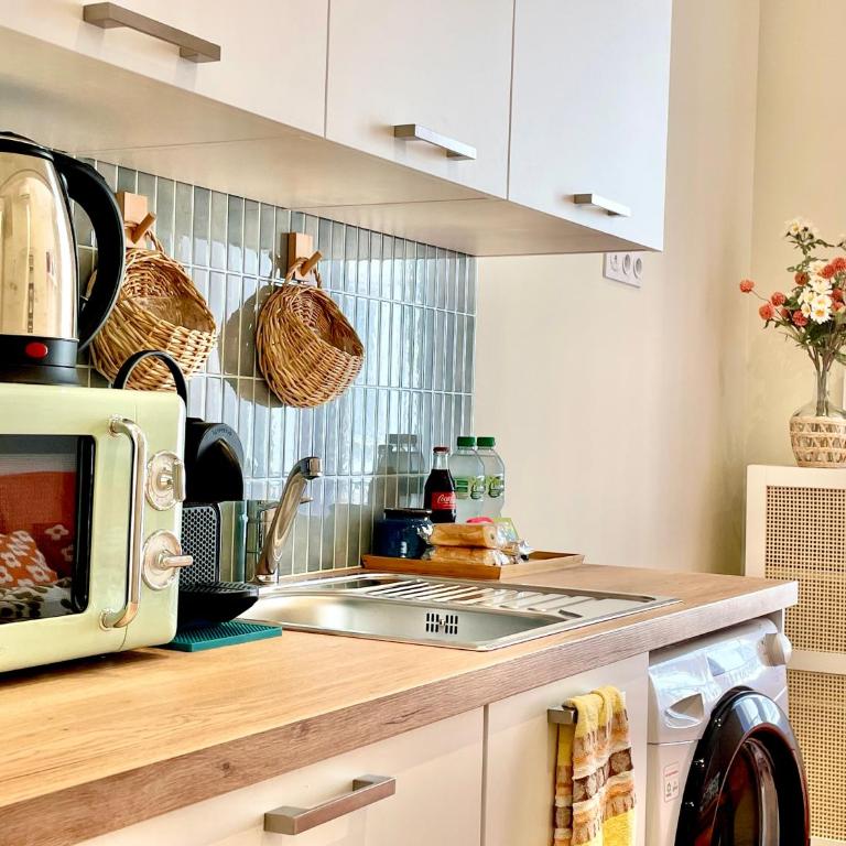Le Petit Nice - 4 Studios, 2 with Private Terrace - Nice Centre - Studio Standard - 26