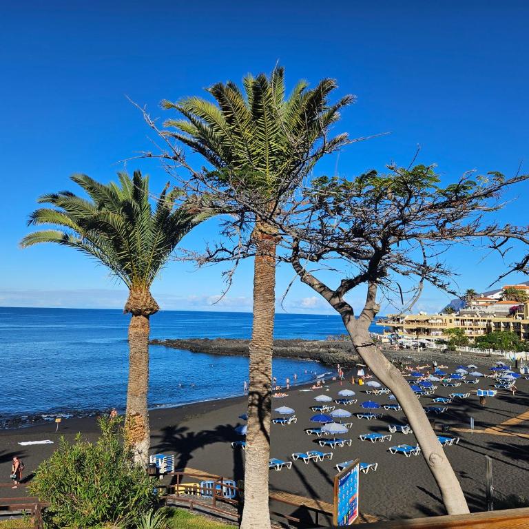 PaulMarie Apartment Playa La Arena - Apartamento de 1 dormitorio - 32