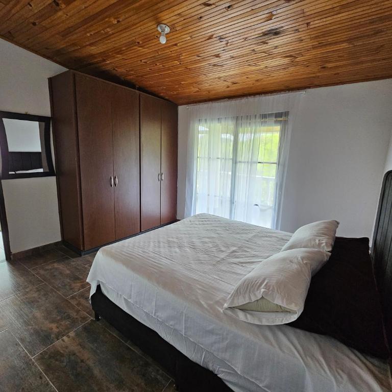 Casa Grande Pereira cerca terminal - Four-Bedroom House - 4