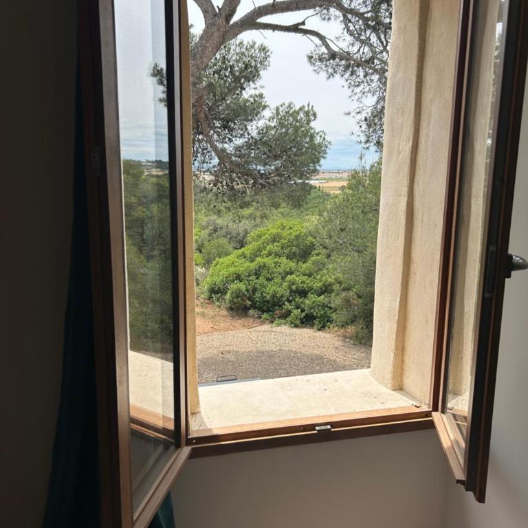 Maison au cœur de la garrigue - Maison 2 Chambres - 3