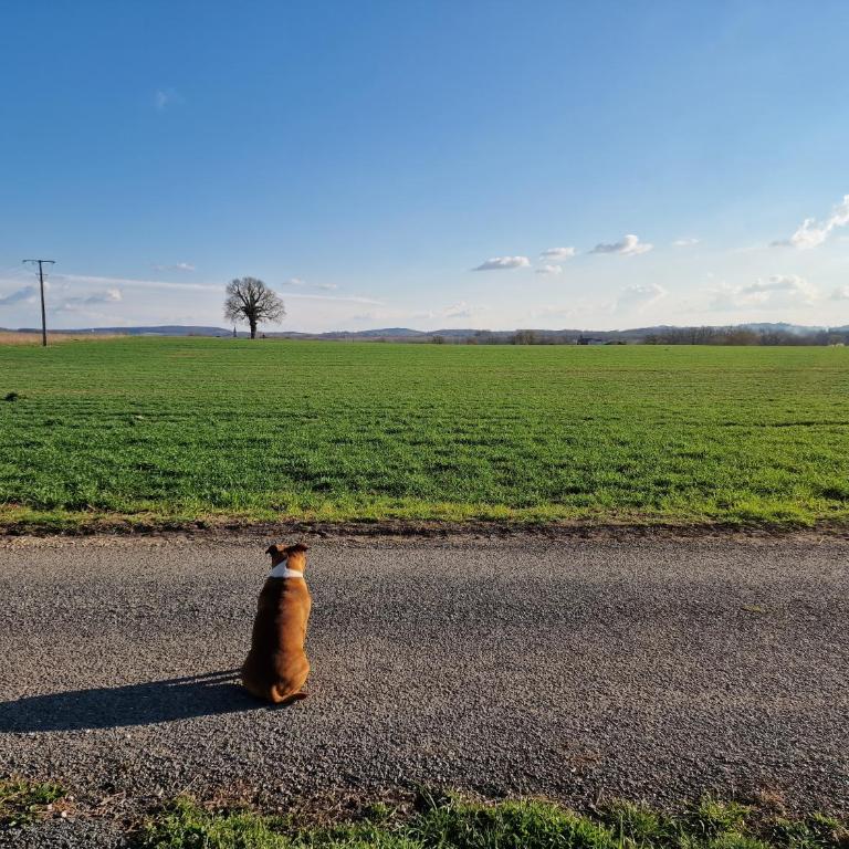 Maison de campagne avec bain nordique - Maison de Vacances - 3