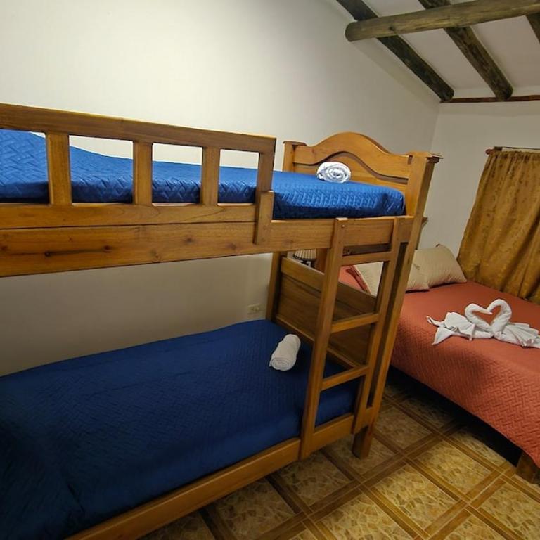 The olive tree - Four-Bedroom House - 12