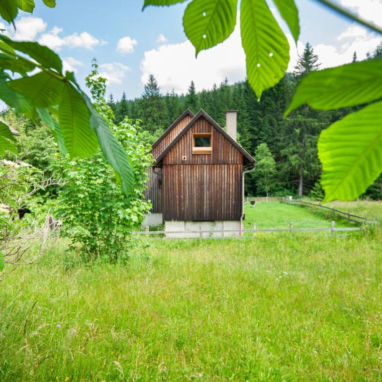 Landhaus Auerling, Chalet am Wald mit Sauna, Kamin & Garten - Chalet mit 3 Schlafzimmern - 39