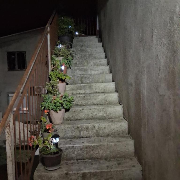 Bgd 2 apartman - Apartman sa 2 Spavaće Sobe - 16