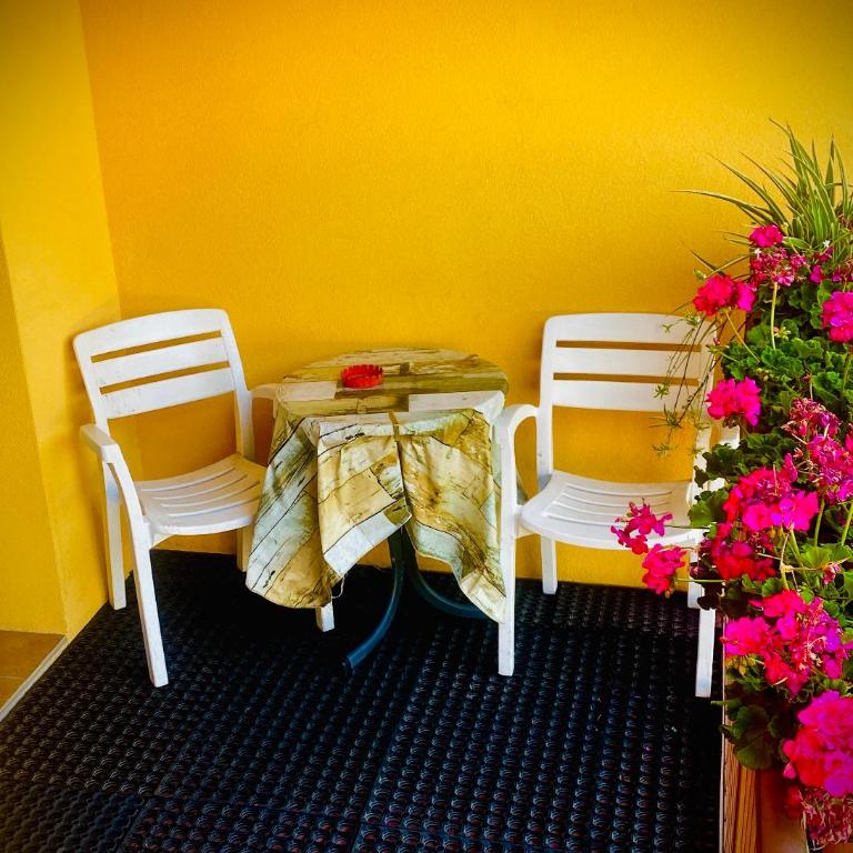 Welcome Traveller DIVINE CÉCILE - Camera Quadrupla Standard - 14