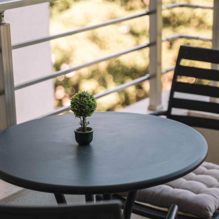 Royal Apartment - Apartman sa 1 Spavaćom Sobom - 12