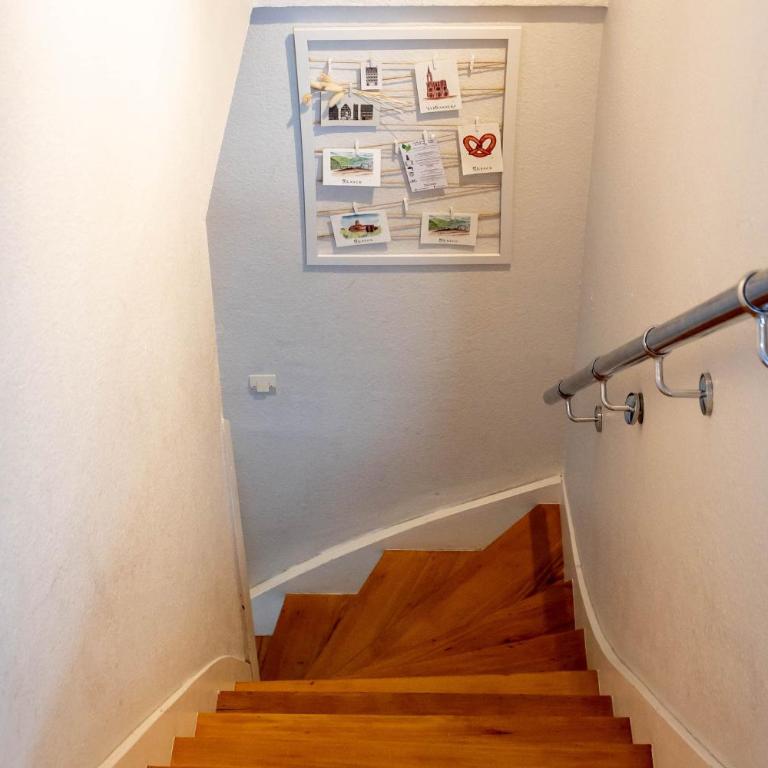 Appartement avec balcon à Strasbourg Robertsau - Apartamento de 1 dormitorio - 20