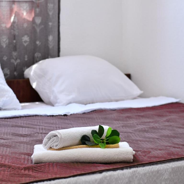 Perfect Location close to Jaz beach - Apartments Rora Knezevic - Deluks Apartman sa 1 Spavaćom Sobom - 17