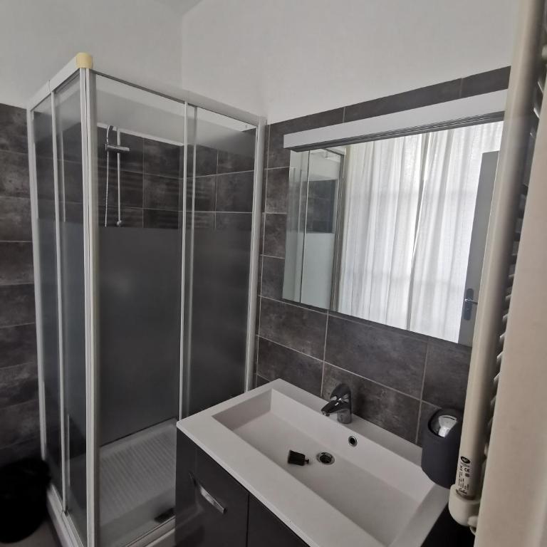 Le Central Studio - Appartement 1 Chambre - 4