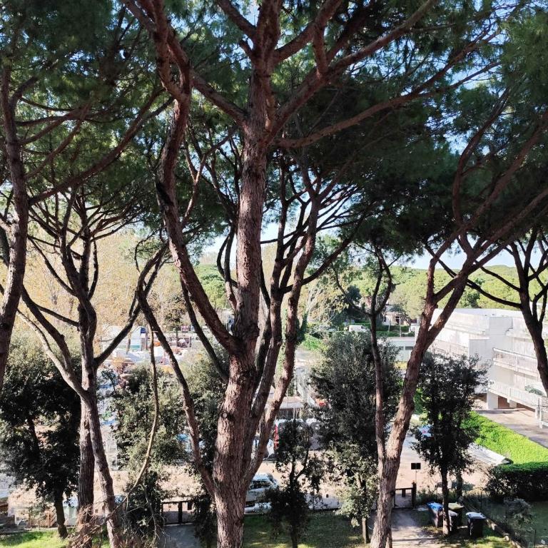 Apartment in Lido di Jesolo 50789 - Appartamento - 3