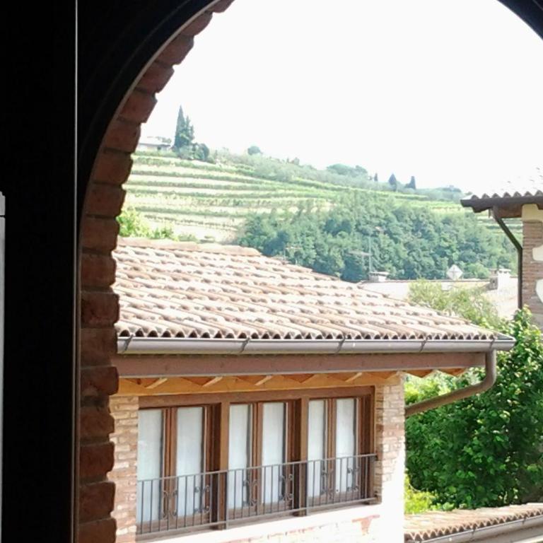 Agriturismo Corte Galvani - Camera Matrimoniale/Doppia con Letti Singoli - 1