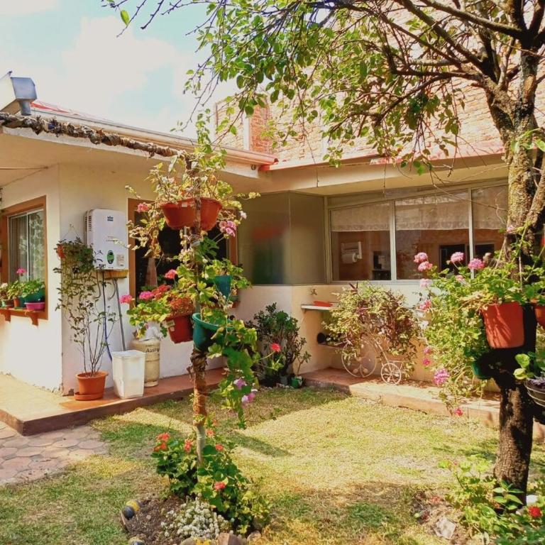 Grandma's house - One-Bedroom House - 5