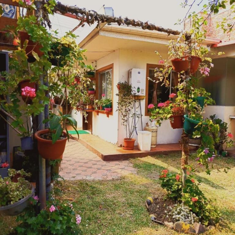 Grandma's house - One-Bedroom House - 23