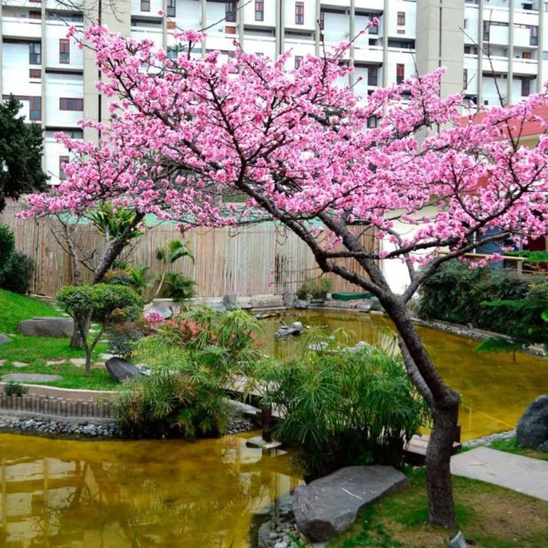 Elegant penthouse with terrace and city views - Apartamento de 2 dormitorios con terraza - 39