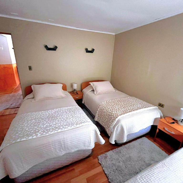 Cabaña en Conguillio nieve con vista al volcan y tinaja - Casa de 3 dormitorios - 2