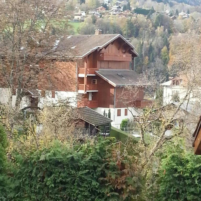 STUDIO POINTE DES ARAVIS 4 PERS HTE-SAVOIE - Studio with Balcony - 18