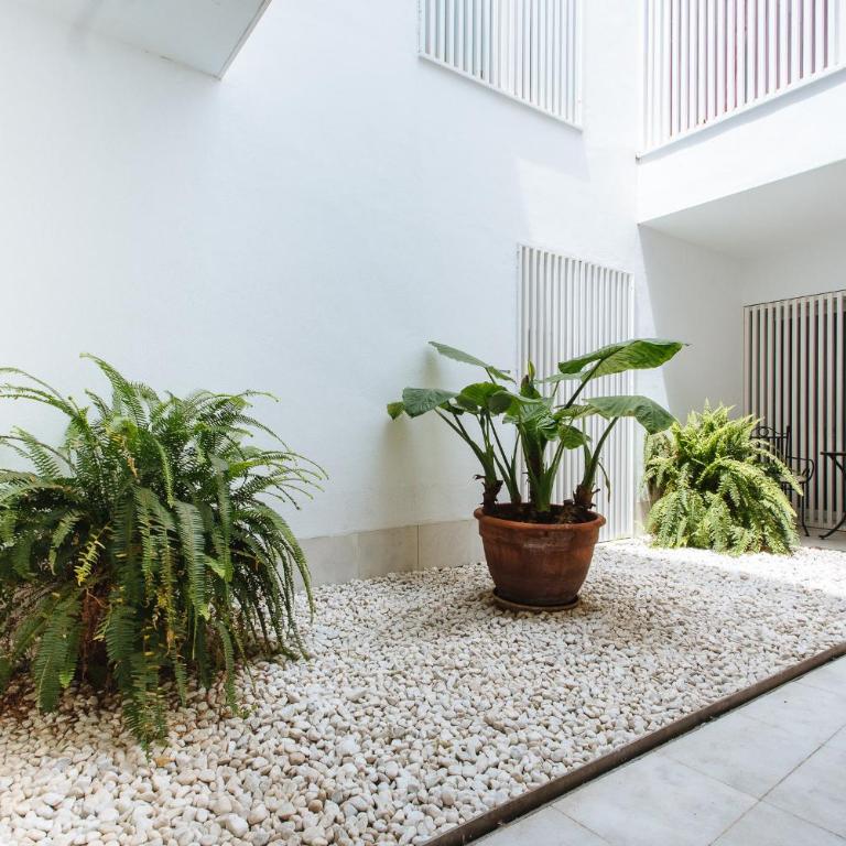 Singular Virgenes - Apartamento de 1 dormitorio - Ático - 4