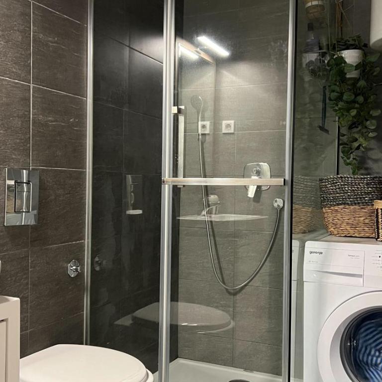 Ralic Casa - Apartman sa 1 Spavaćom Sobom - 11