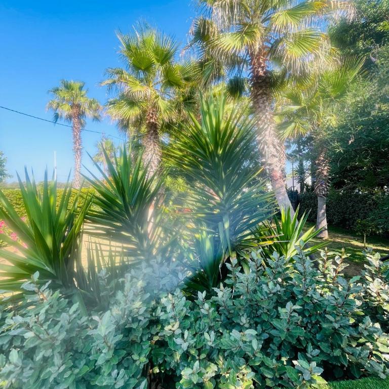 The Green Wagon Costa Brava, Piscina Privada, AC, WIFI, Parking, Terraza - Apartamento de 1 dormitorio - 24