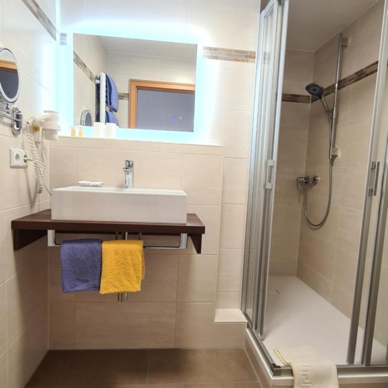 Thermenhotel Tannenhof - Ihr Wohlfühl-Hotel - Deluxe Doppelzimmer mit Dusche - 3