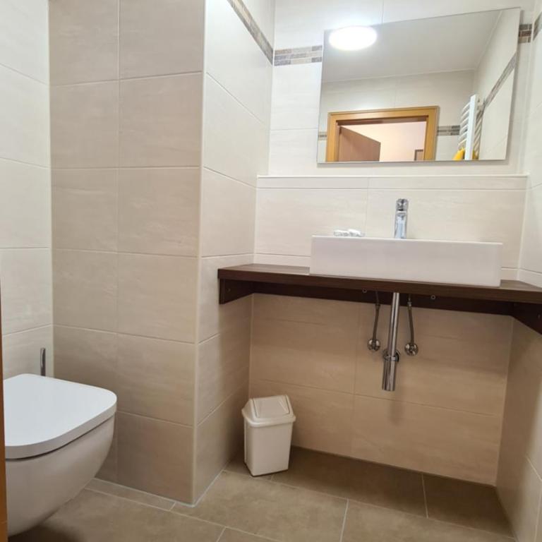 Thermenhotel Tannenhof - Ihr Wohlfühl-Hotel - Deluxe Doppelzimmer mit Dusche - 4