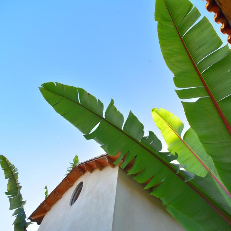 Las Casas Chiapas - Apartment - Split Level - 10