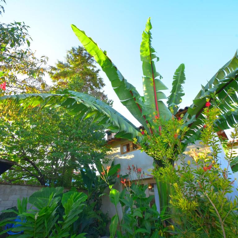 Las Casas Chiapas - Apartment - Split Level - 18
