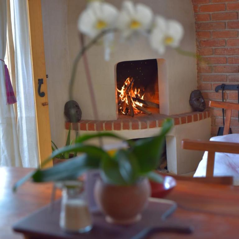 Las Casas Chiapas - Apartment - Split Level - 13