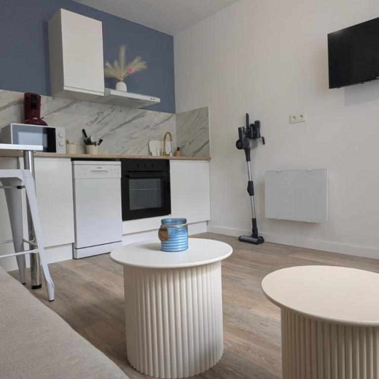 Cosy Lila - T1 - Centre ville - Appartement 1 Chambre avec Terrasse - 14