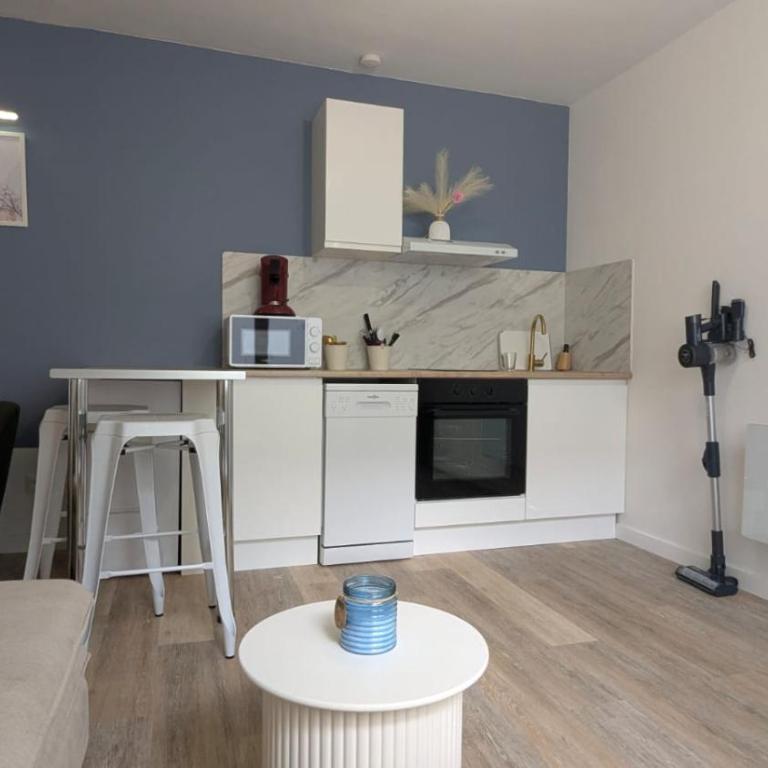 Cosy Lila - T1 - Centre ville - Appartement 1 Chambre avec Terrasse - 3