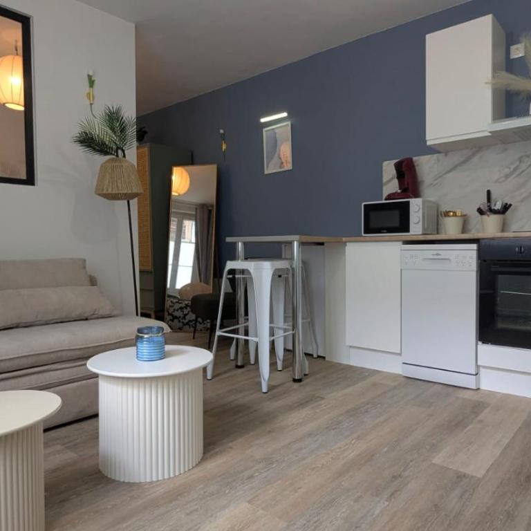 Cosy Lila - T1 - Centre ville - Appartement 1 Chambre avec Terrasse - 4