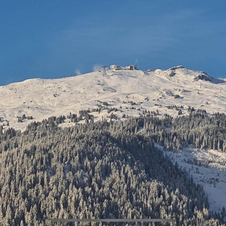 Crap da Flem - 3.5 Zimmer Ferienwohnung am Sonnenhang von Flims - Apartment mit Blick auf die Berge - 5