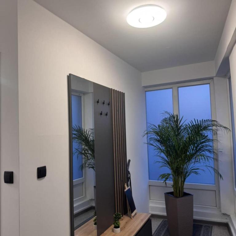 Apartman Booem - One-Bedroom Apartment - 12
