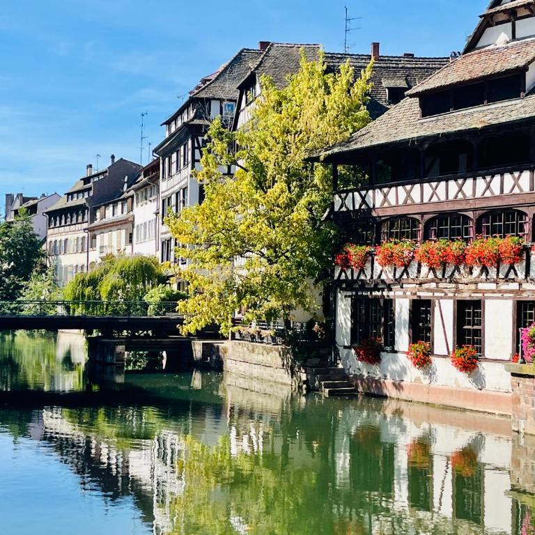 Appartement avec balcon à Strasbourg Robertsau - Apartamento de 1 dormitorio - 27