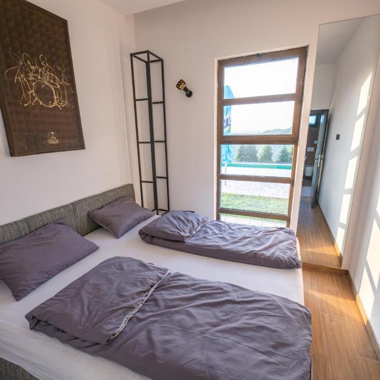 Vila Natalijina Ramonda - Vila sa 2 Spavaće Sobe - 3