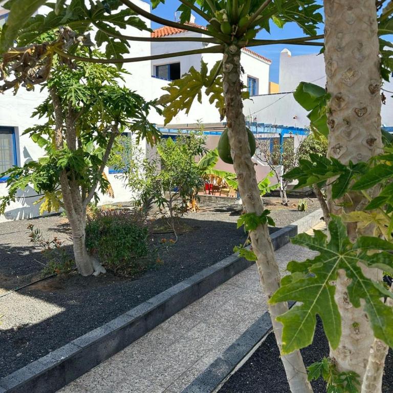 Sunny home in the center near the beach - One-Bedroom Apartment - 29