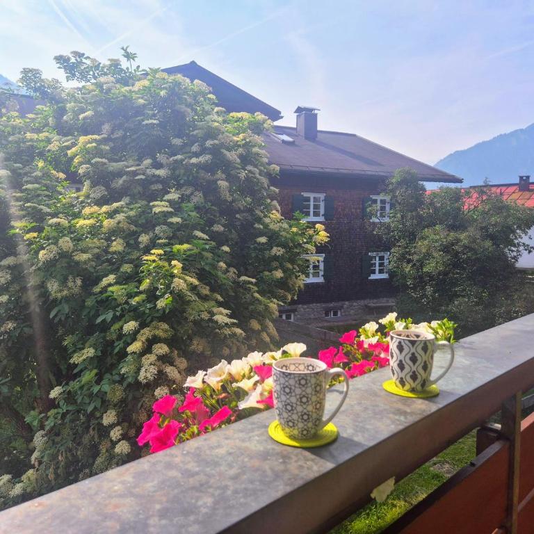 Gästehaus Hofacker - Apartment mit Aussicht und Balkon - 3