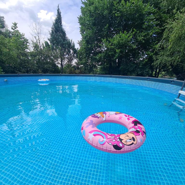 Orhidea - Vacation Home - 30