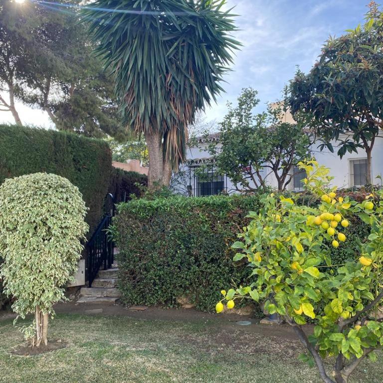 Comfortable apartment near the sea - Apartamento de 2 dormitorios - 28