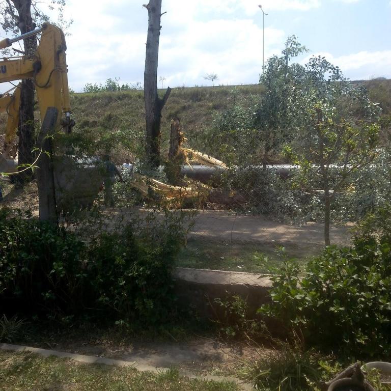 La casa del tio - Casa con 1 dormitorio - 4