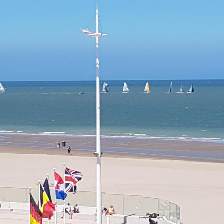 Désirade2 Appartement à 10 m de la plage - Apartment mit 1 Schlafzimmer - 2
