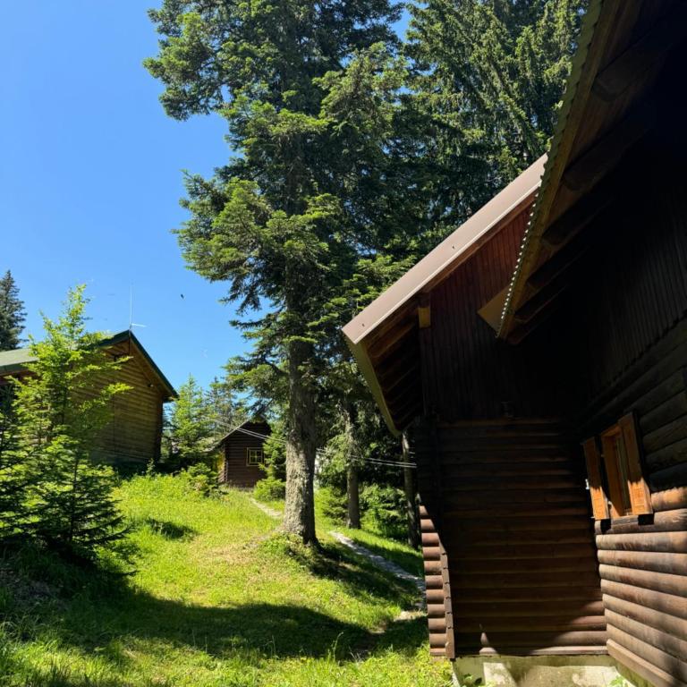 Planinska kućica - Jezera - Two-Bedroom Chalet - 4
