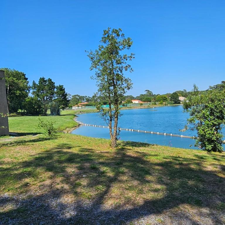 studio classé 3 étoiles, Anglet Chiberta ocean golf surf - Appartement 2 Chambres - 14