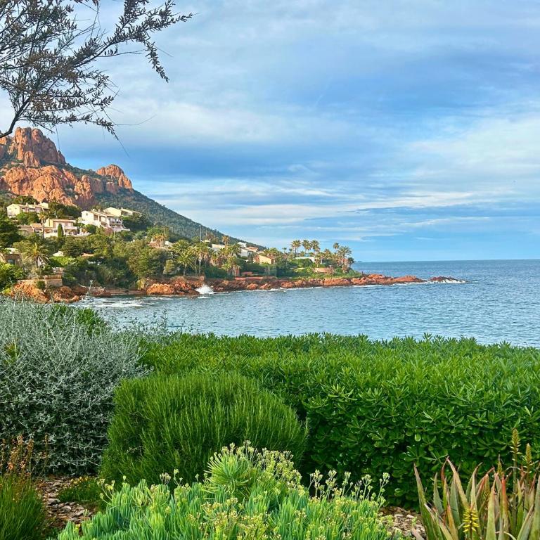 Santa Margarita - Double Room with Sea View - 23