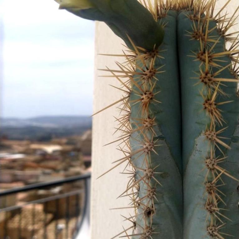 Casuzze al Duomo con vista Valle dei Templi! - Appartamento Monolocale con Vista Mare - 9