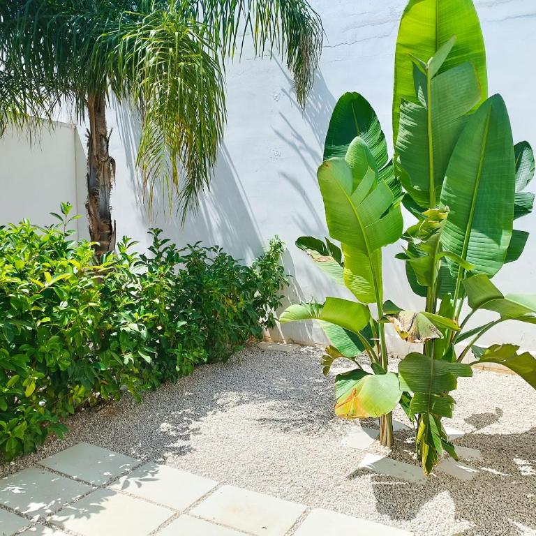 Casa Vacanze Schiuma di Mare - One-Bedroom House - 12
