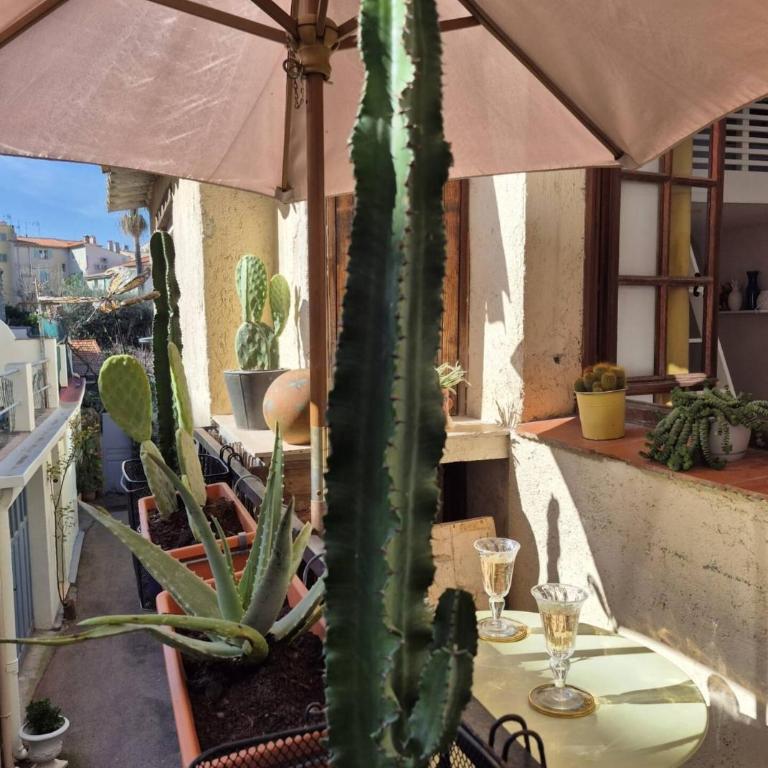 Le Cosy Antibois - Proche Marché Provençal - Studio - 13