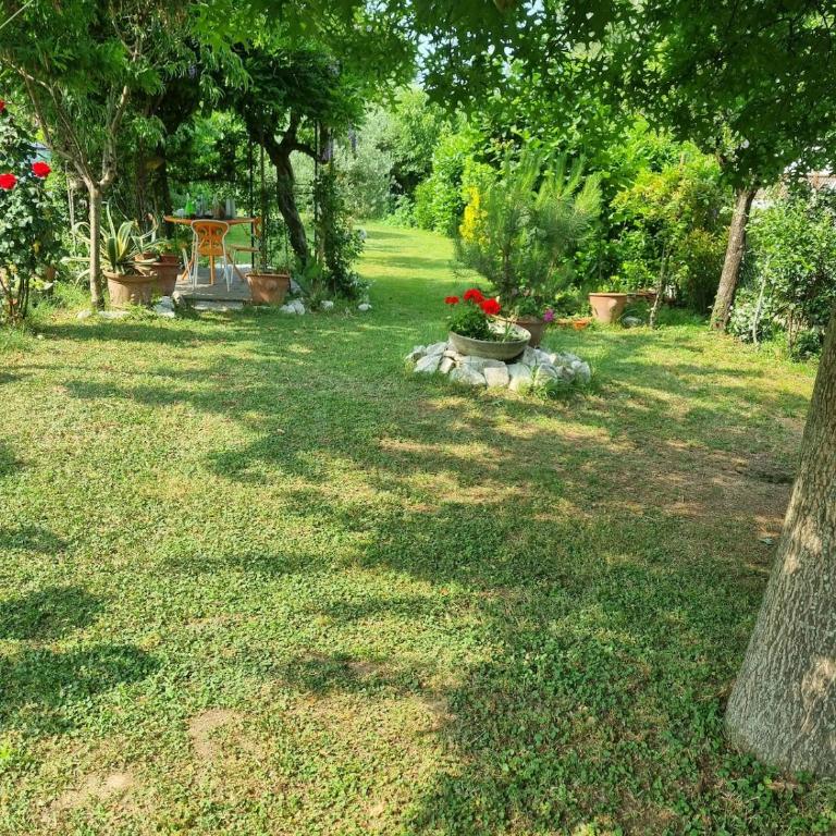 Il nido di Irene e Sofia - Casa con 2 Camere da Letto - 6