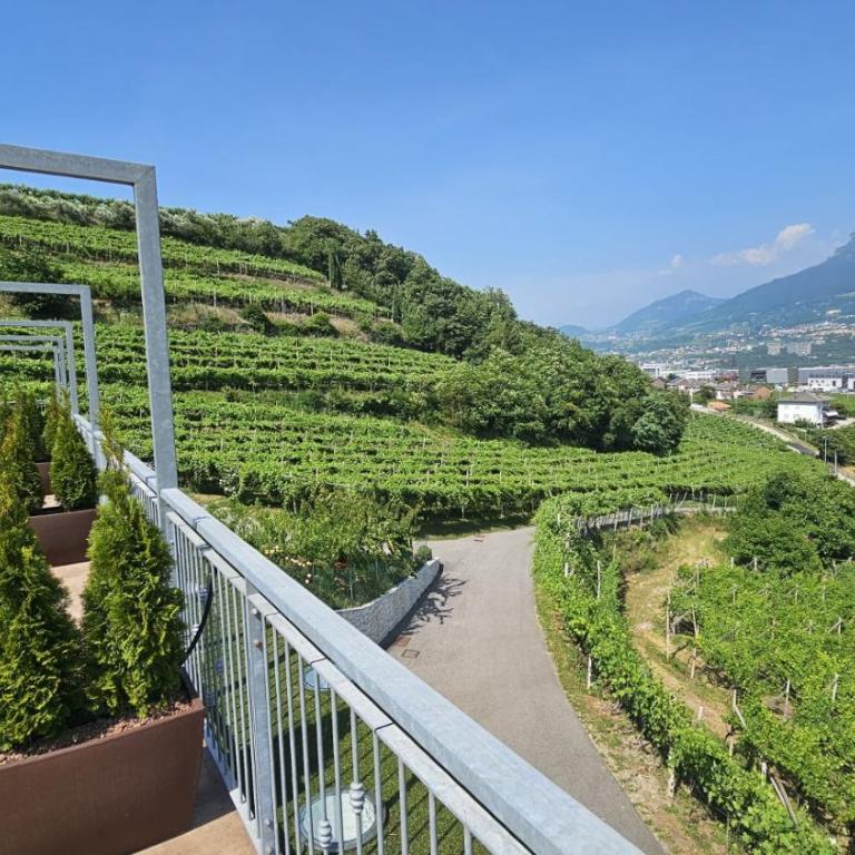 Agritur Gasadòr - Camera Superior Matrimoniale/Doppia con Letti Singoli con Terrazza - 9