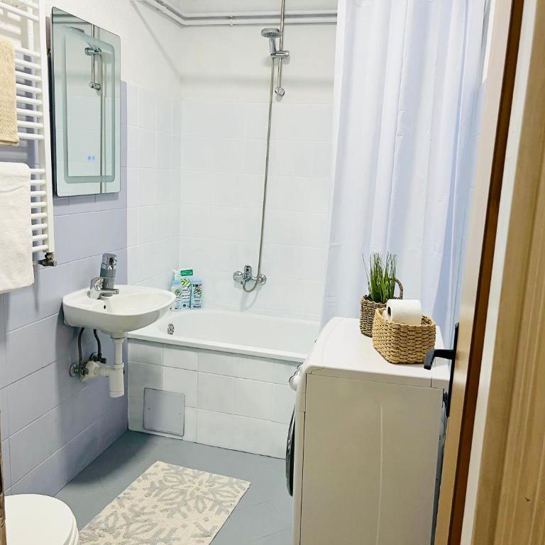 Zayed Residence - One-Bedroom Apartment - 33
